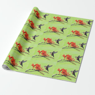 Papier Cadeau Peinture de colibri et de crocosmia
