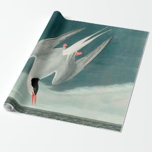 Papier Cadeau Peinture de faune d'oiseau de sterne arctique Audu