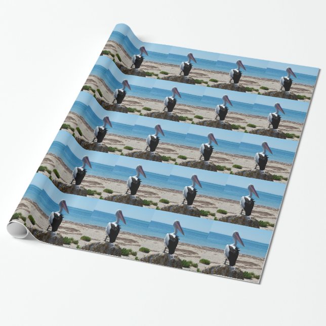 Papier Cadeau Pelican Perché Sur Un Rocher De Plage, (Déroulé)