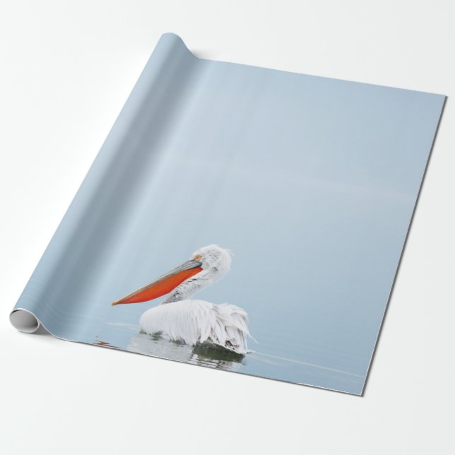 PAPIER CADEAU PELICAN SUR EAU BLEU (Déroulé)