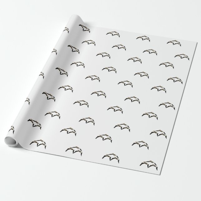 Papier Cadeau Pélican volant 2 (Déroulé)