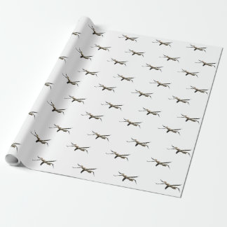 Papier Cadeau Pélican volant 3