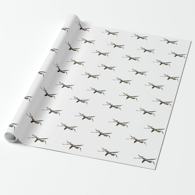 Papier Cadeau Pélican volant 3 (Déroulé)