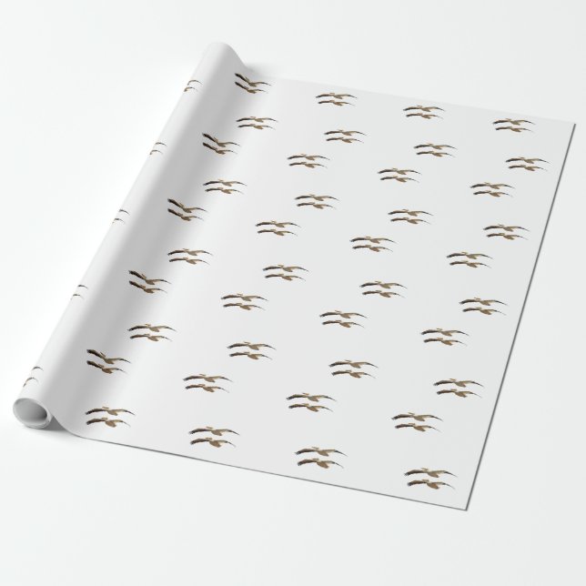 Papier Cadeau Pélican volant 4 (Déroulé)