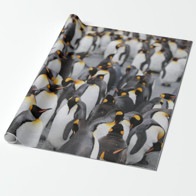 PAPIER CADEAU PENGUINS (Déroulé)