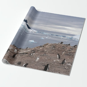 PAPIER CADEAU PENGUINS BESEIN