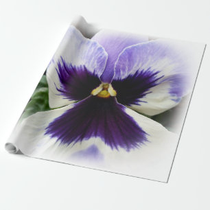Papier Cadeau pensée violette foncée sur blanc