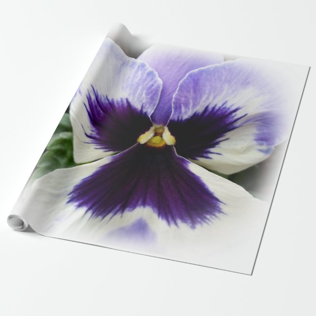 Papier Cadeau pensée violette foncée sur blanc (Déroulé)