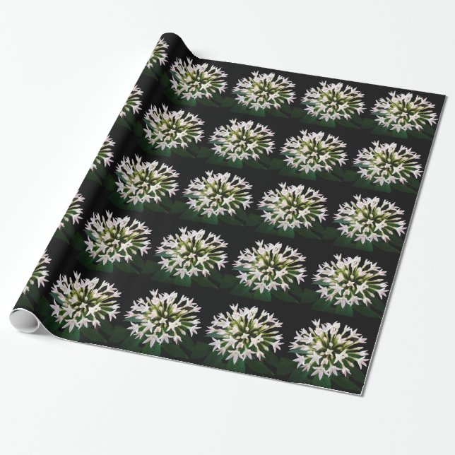Papier Cadeau Pentas blanc (Déroulé)