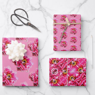 Papier cadeau Peonies roses.