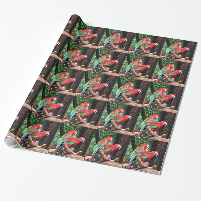 Papier Cadeau Perroquets colorés fêtent Noël (Déroulé)