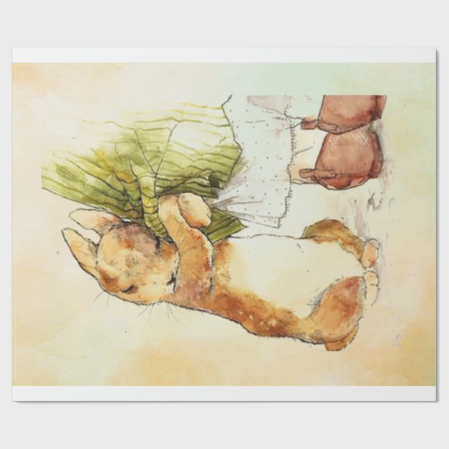 Papier Cadeau Peter Rabbit 9 (Plat)