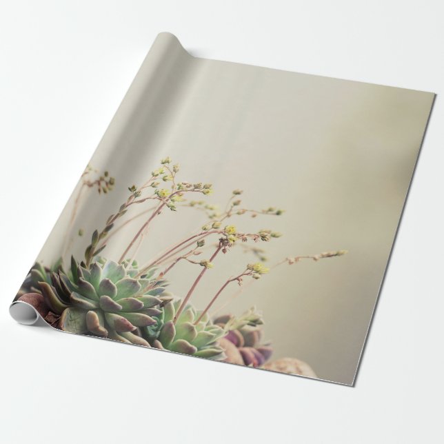 PAPIER CADEAU PETIT JARDIN SUCCULENT (Déroulé)