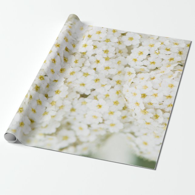 Papier Cadeau Petites fleurs blanches motif (Déroulé)