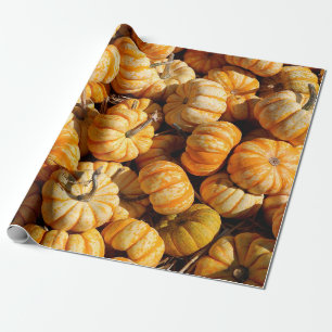 Papier Cadeau petits citrouilles dans la pile