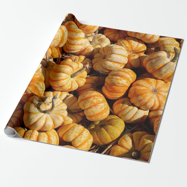 Papier Cadeau petits citrouilles dans la pile (Déroulé)