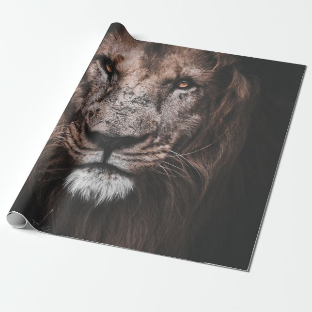 PAPIER CADEAU PHOTO DE BROWN LION (Déroulé)