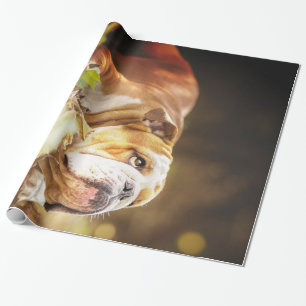 Papier Cadeau Photo de la forêt de Bulldog en anglais