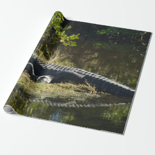 Papier Cadeau Photo de la nature d'un alligator américain se rep