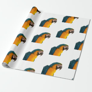 Papier Cadeau Photo de perroquet Ara