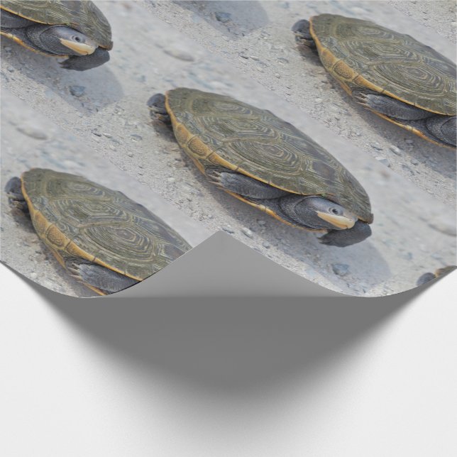 Papier Cadeau Photo de tortue (Coin)