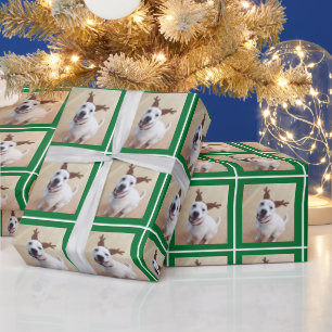Papier Cadeau Photo Green de Chien de Chien de Chien de Chien de