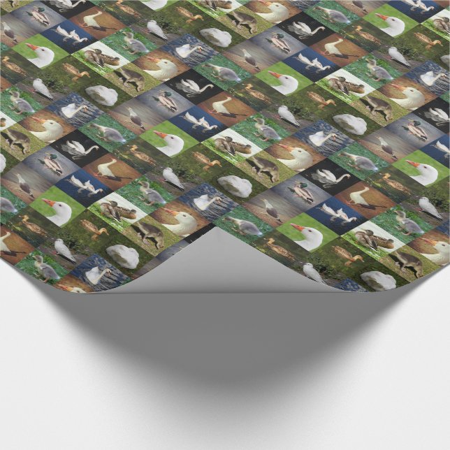 Papier Cadeau Photo Patchwork - Oiseaux (Coin)