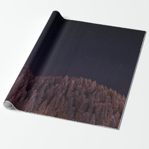 PAPIER CADEAU PHOTO PAYSAGE DES ARBRES