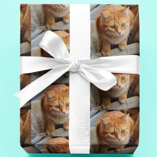Papier Cadeau Photo Pet Cat Chien Photo Personnaliser Personnali