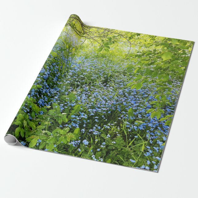 Papier Cadeau Photo sauvage de fleurs de myosotis des marais (Déroulé)