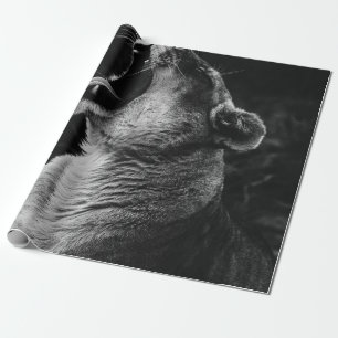 PAPIER CADEAU PHOTOGRAPHIE À GRANDE ÉCHELLE DE LA LIONTÉ JEUN