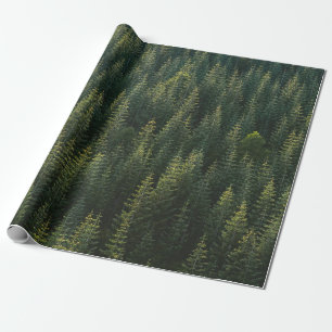 PAPIER CADEAU PHOTOGRAPHIE AÉRIENNE DE LA FORÊT