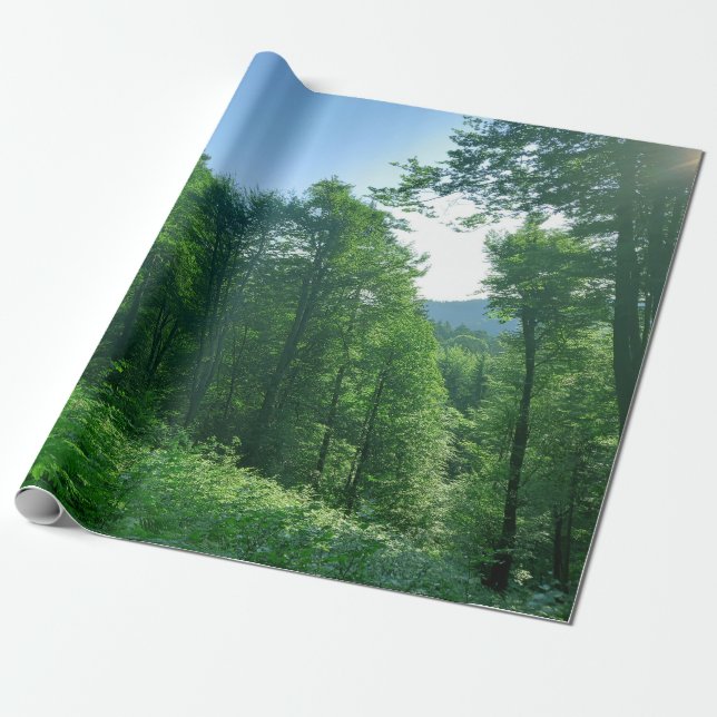 Papier Cadeau Photographie du paysage de la forêt verte (Déroulé)