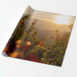PAPIER CADEAU PHOTOGRAPHIE NATURELLE DES ARBRES VERTS SURPLOMBAN