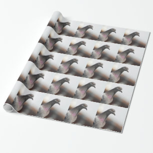 Papier Cadeau Pigeon d'emballage