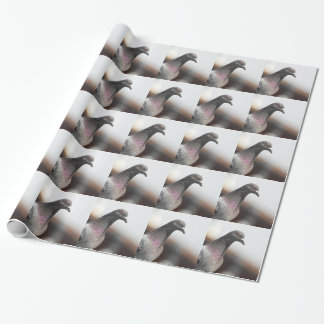Papier Cadeau Pigeon d'emballage