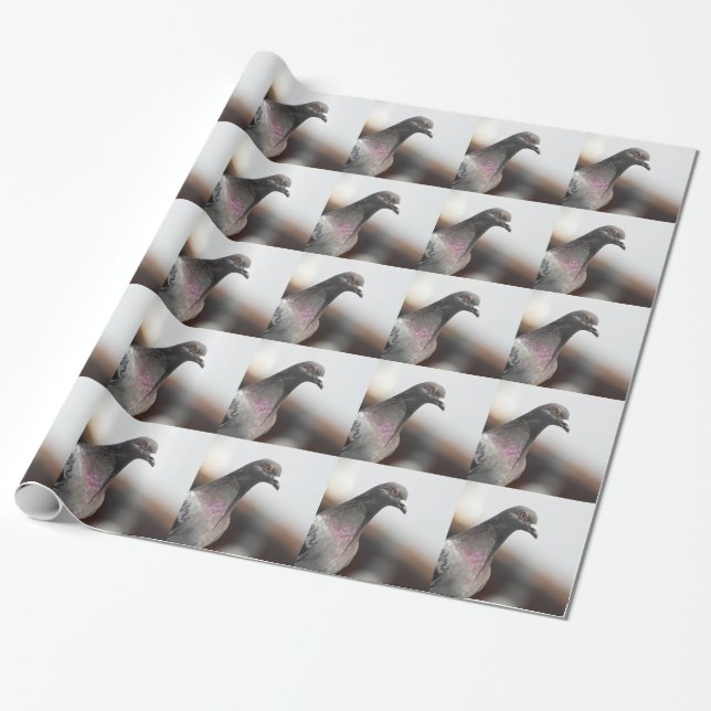 Papier Cadeau Pigeon d'emballage (Déroulé)