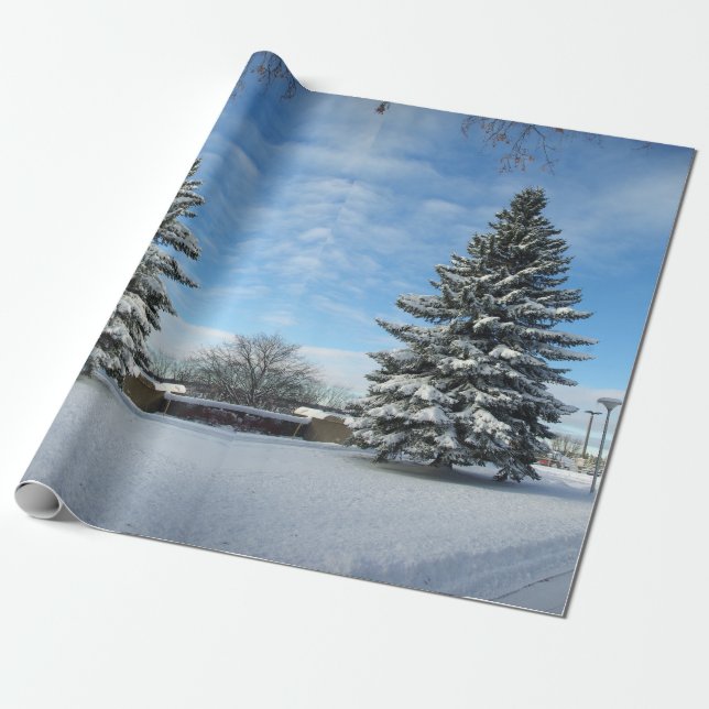 Papier cadeau Pin dans la neige (Déroulé)