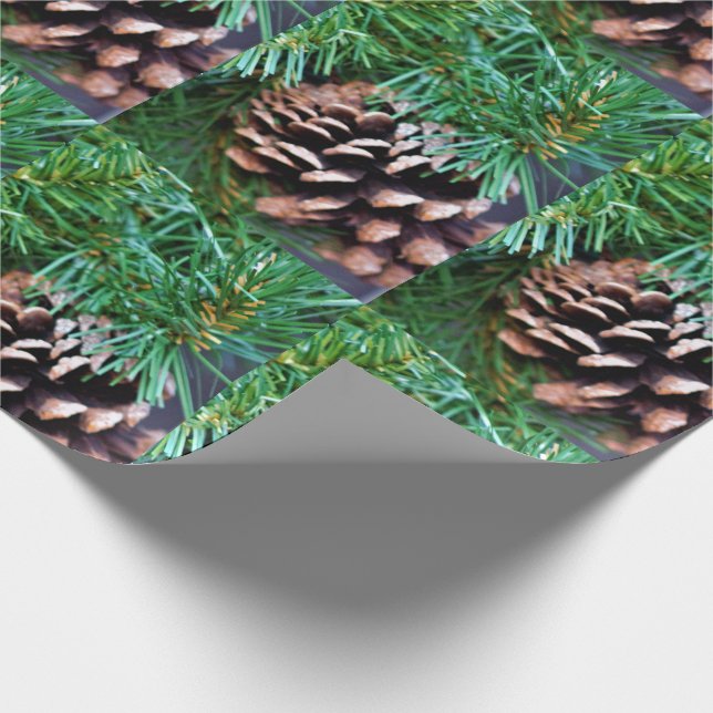 Papier Cadeau Pinecones (Coin)