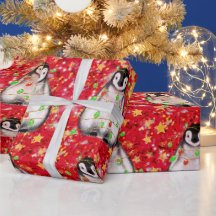 Pingouin de vacances - Feux rouges et verts scinti