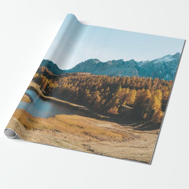 PAPIER CADEAU PINS PRÈS DU LAC (Déroulé)