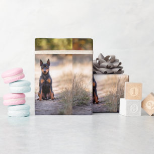 Papier Cadeau Pinscher Nain Assis