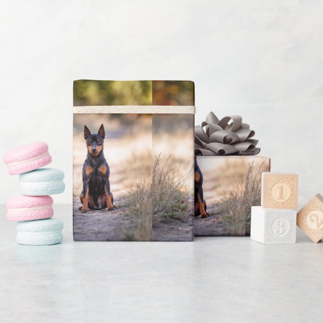 Papier Cadeau Pinscher Nain Assis (Baby Shower)