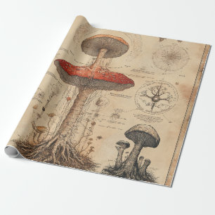 Papier Cadeau Planche botanique de champignons vintage (8)