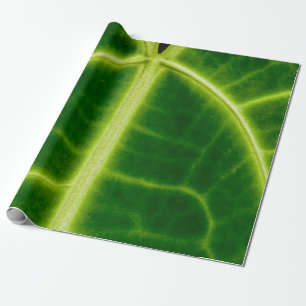 Papier Cadeau Plante à feuilles vertes