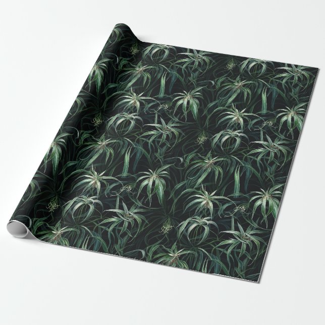 Papier Cadeau Plante d'araignée d'aquarelle (foncé) (Déroulé)