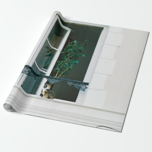 PAPIER CADEAU PLANTE VERT SUR FENÊTRE BLANCHE