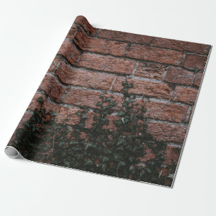 Papier Cadeau Plantes à feuilles vertes près du mur de briques