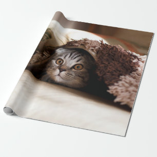 Papier Cadeau PLIER Brown ÉCOSSE DANS LE BLANCHET BROWN ÉPAIS