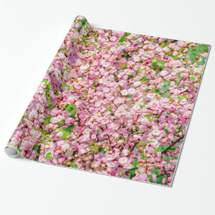 Papier Cadeau Plum à fleurs